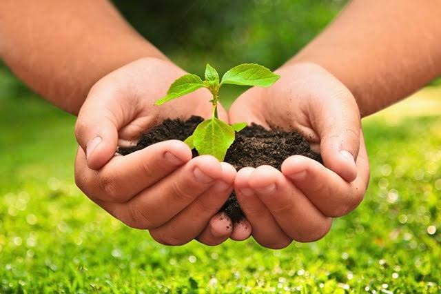 Entidades pedem apoio de candidatos em defesa da agroecologia