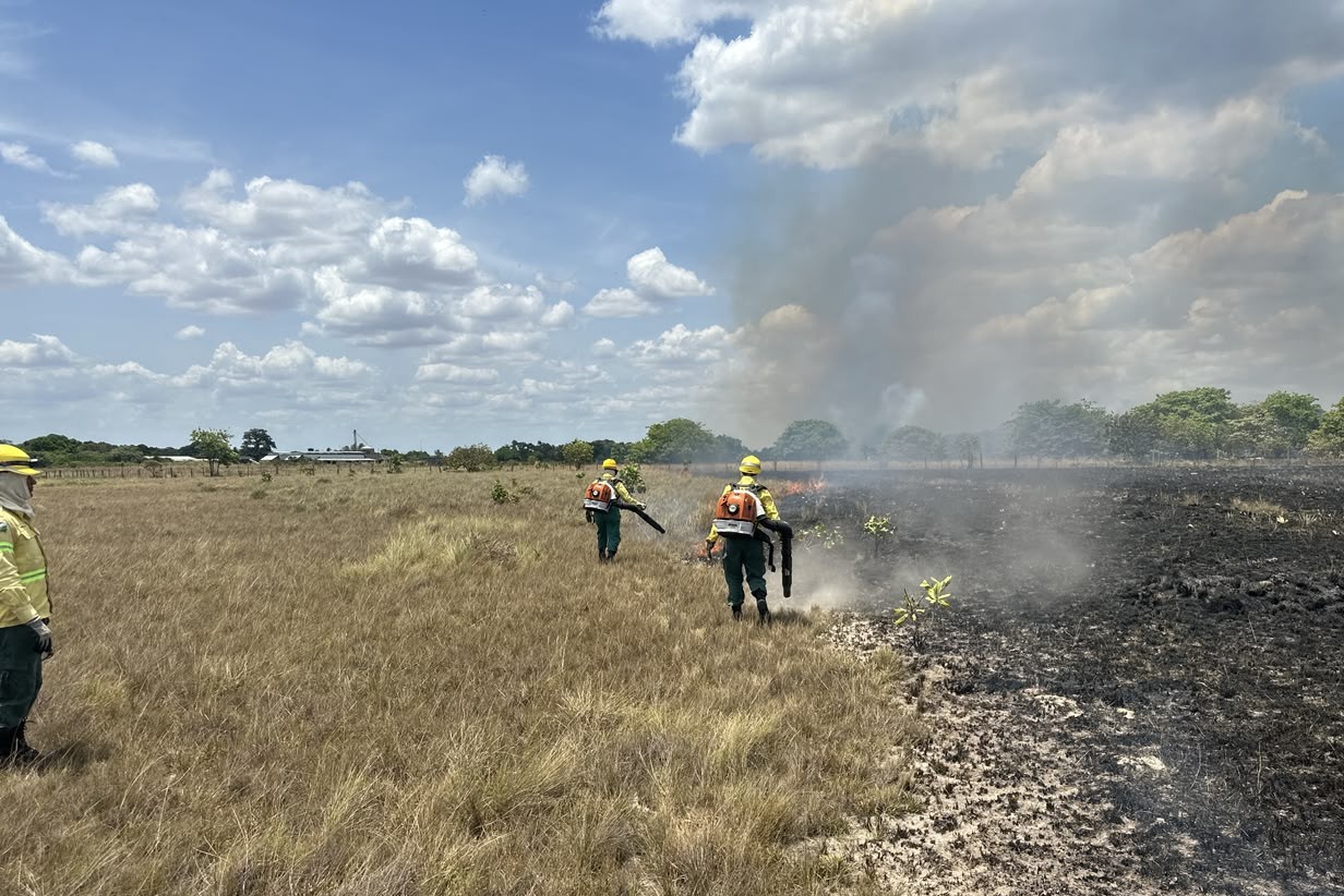 Roraima registra 23 incêndios em quatro dias e Bombeiros alertam para agravamento da estiagem